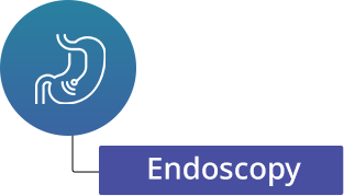 endo-fac