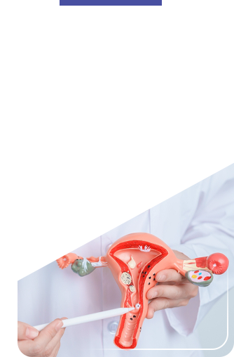 gynimg